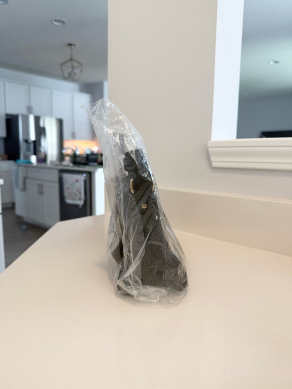 Itzy Ritzy Black Stroller Organizer with Gold Zipper - Picture 3 of 3
